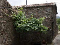 Casa da Urze 