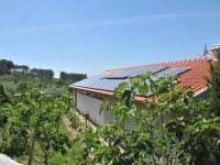 Quinta do Vale Sanguinho 