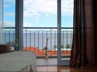 Madeira Seaview Apartment 