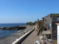 Studio Madeira 