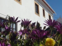 Natura Maris Dunas Residence 