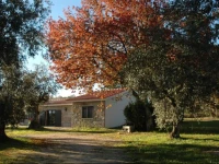 Quinta da Pedra Mija 