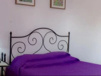 Quinta da Fonte do Lugar 