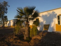 Herdade da Paz 