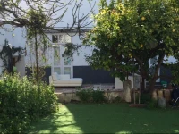 Lemontree House 
