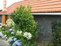 Casa Belladonna 