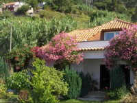 Fernanda House