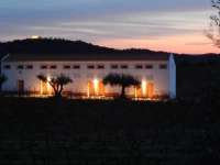 Quinta das Ratoeiras 