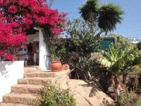 Orchidea Terrace Apartment 