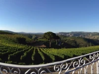Quinta dos Espinheiros - Casa de Turismo 