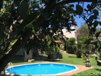 Olival House 