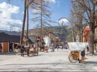 Apartament Centrum 