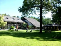 Pibernik 