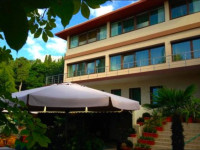 Alligator Hotel