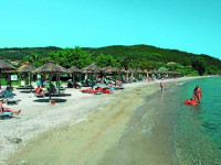 Delfinia