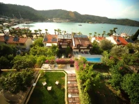 Villa Daffodil 