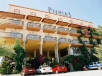 Palmera 