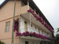 Evin Pension 