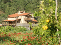 Pastoral Vadi