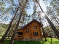 Деревня Берендеевка загородные дома 