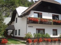 Apartments Gregorc 3*