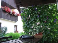 Apartment Andolsek 4*