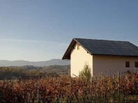 Vineyard cottage Kambic 