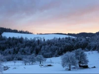 Guest House Veronika 2*
