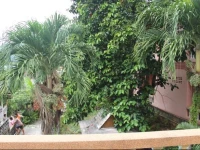 House near Beach 