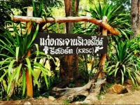 Kaengkrachan Riverside Resort 