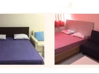 DMK Don mueang Airport Guest house 