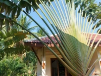 Maenam Hills Samui 