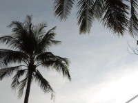 Lazy Days Bungalows