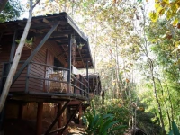 Hot Coffee Guest House and Resort 