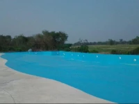 Sea Paradise Lampang 
