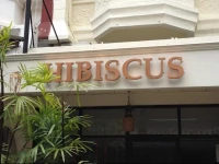 Hibiscus 2*
