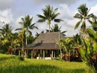 Chapung Se Bali Resort & Spa 