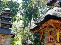 Warwick Ibah Luxury Villas and Spa / Warwick Ibah Luxury Villas & Spa 5*