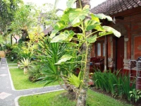 Warsa Garden Bungalows 3*