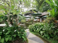 Sayan Terrace Resort Bali 3*