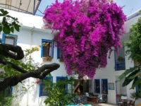 Dalyando Hotel 