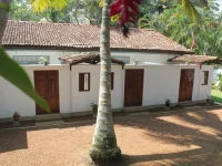 Lilly Village 3*