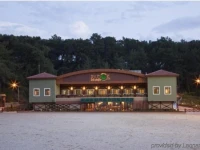 Padok Premium Hotel and Stables 