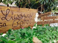 Liwayway sa Bohol - Pamilacan Bed & Breakfast 