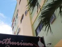Anthurium Inn 2*