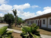 Minine House 