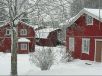 Portaan Nahkurinverstas
