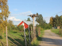 Wanha Autti Camping