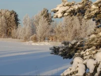 Lomasaaret Cottages 