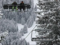 Totally Alpine 